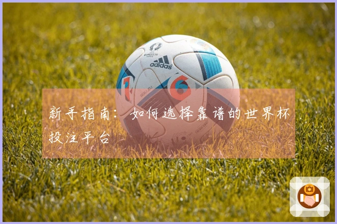 新手指南：如何选择靠谱的世界杯投注平台