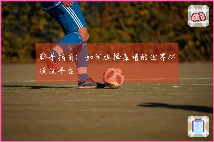 新手指南：如何选择靠谱的世界杯投注平台