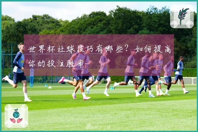 世界杯让球技巧有哪些？如何提高你的投注胜率