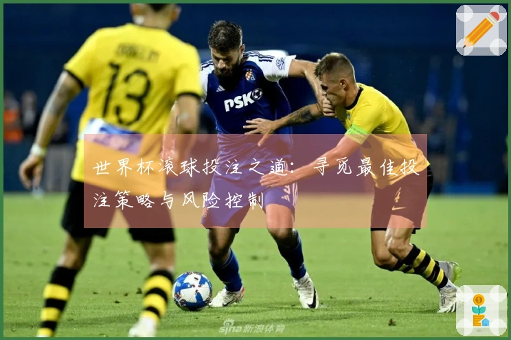 世界杯滚球投注之道：寻觅最佳投注策略与风险控制