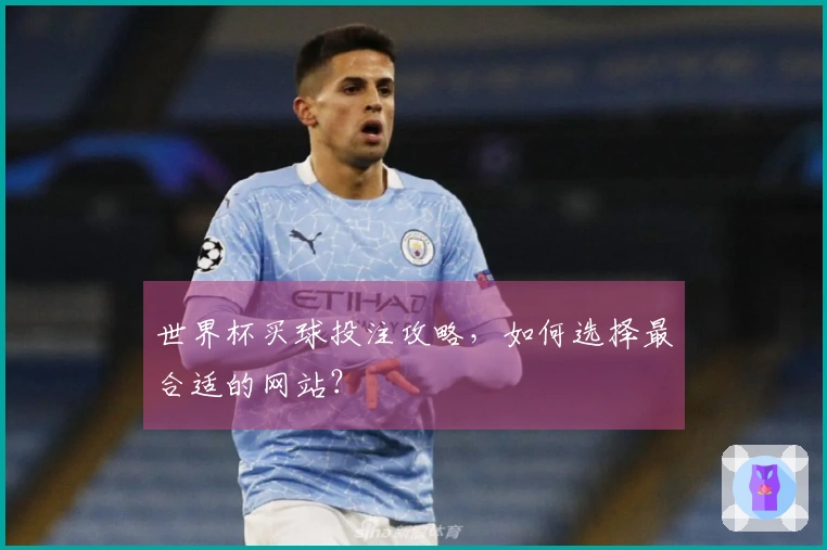 世界杯买球投注攻略，如何选择最合适的网站？