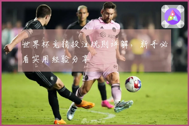 世界杯竞猜投注规则详解，新手必看实用经验分享