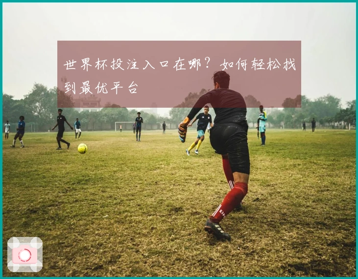 世界杯投注入口在哪？如何轻松找到最优平台