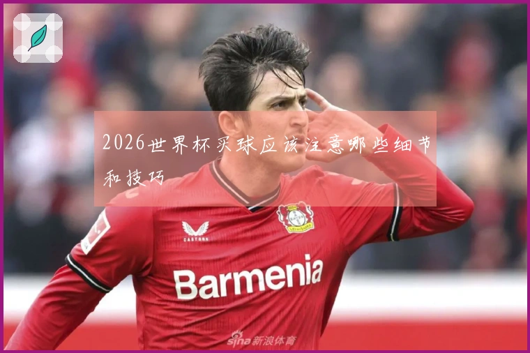 2026世界杯买球应该注意哪些细节和技巧